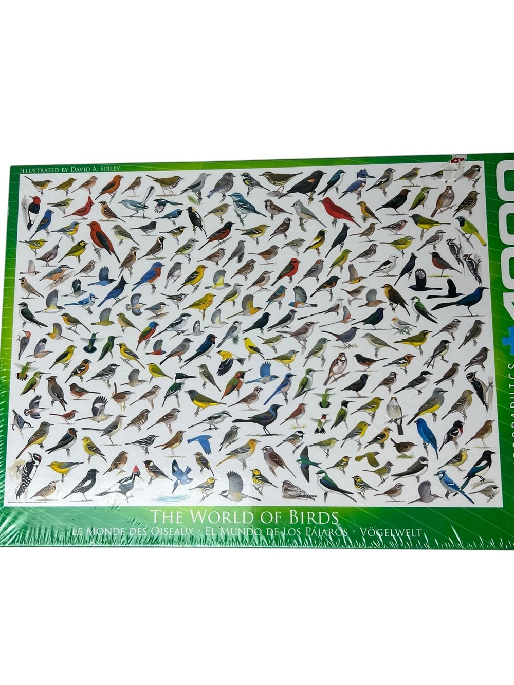 Eurographics “The World of Birds” 1000 Piece Puzzle - NEW SEALED